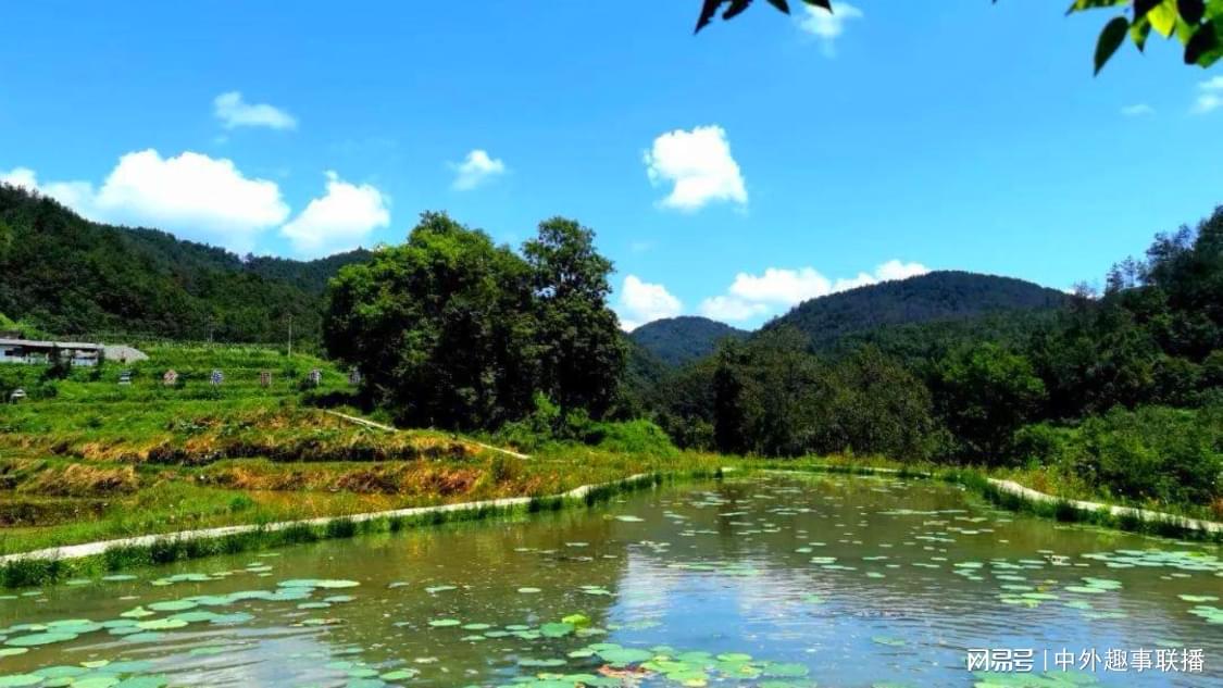 视频号自助平台业务下单真人