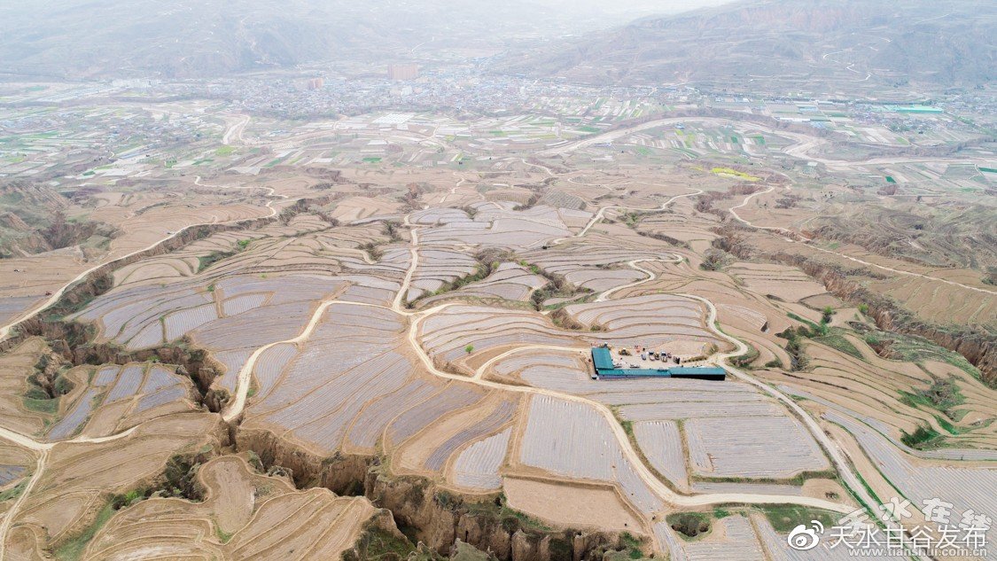 dy业务代涨低价快手：快手账号粉丝速增亲民价格方案_dy自助下单服务平台