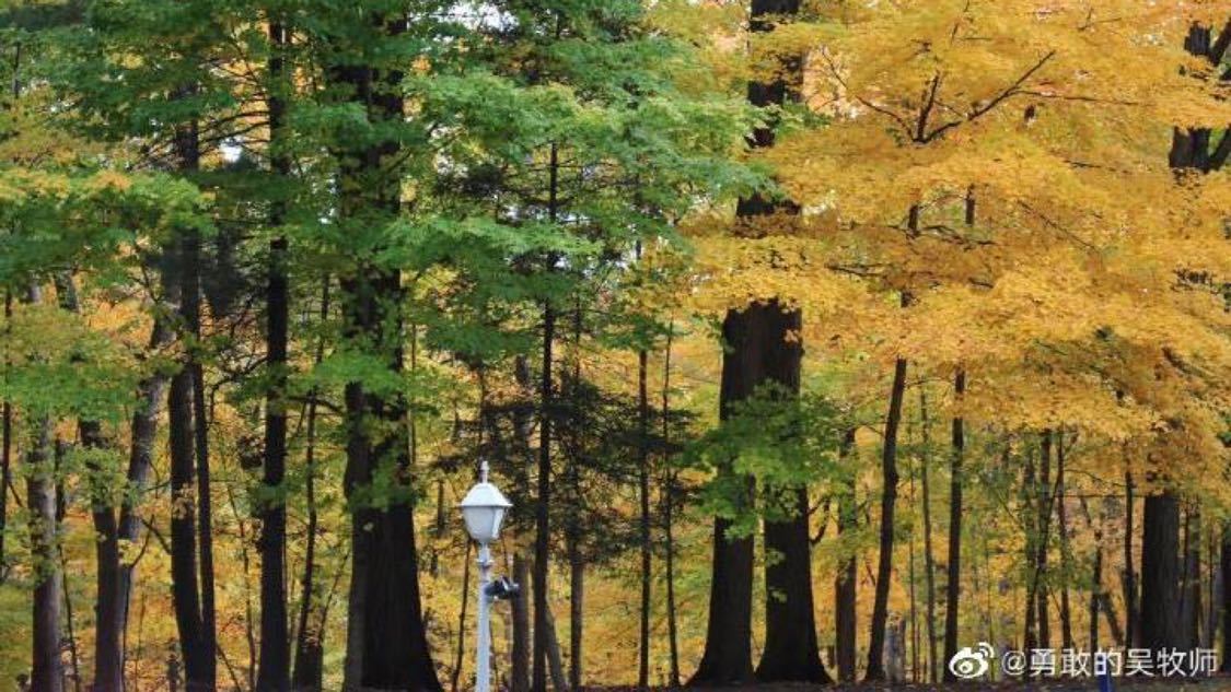 快手代涨最低价