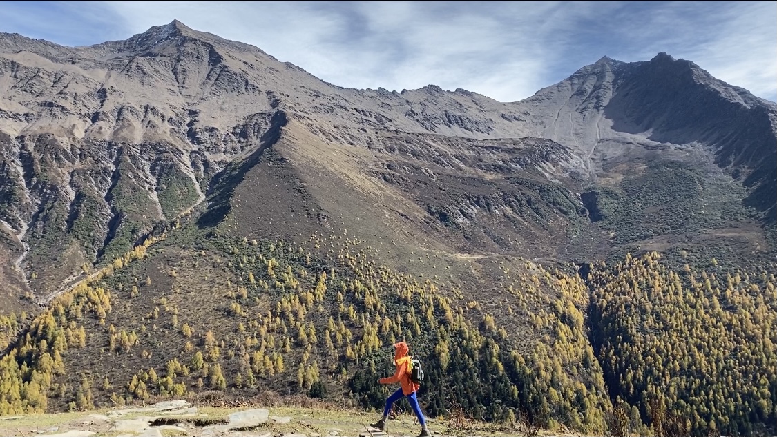 ks业务小时自助下单平台